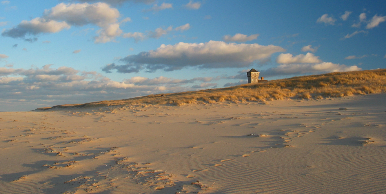 Cape Cod